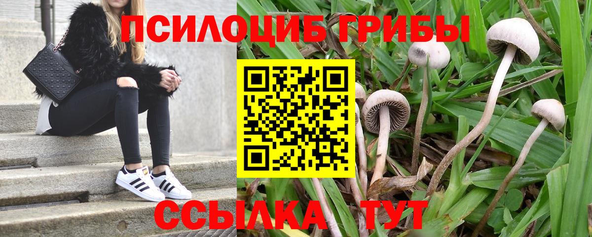 Галлюциногенные грибы MAGIC MUSHROOMS Дедовск